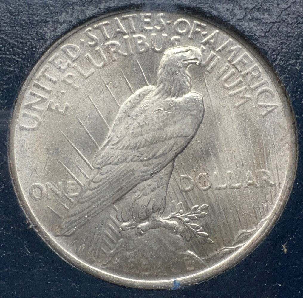 1923-Peace-Dollar-In-Paramount-Holder,-Thoughts?